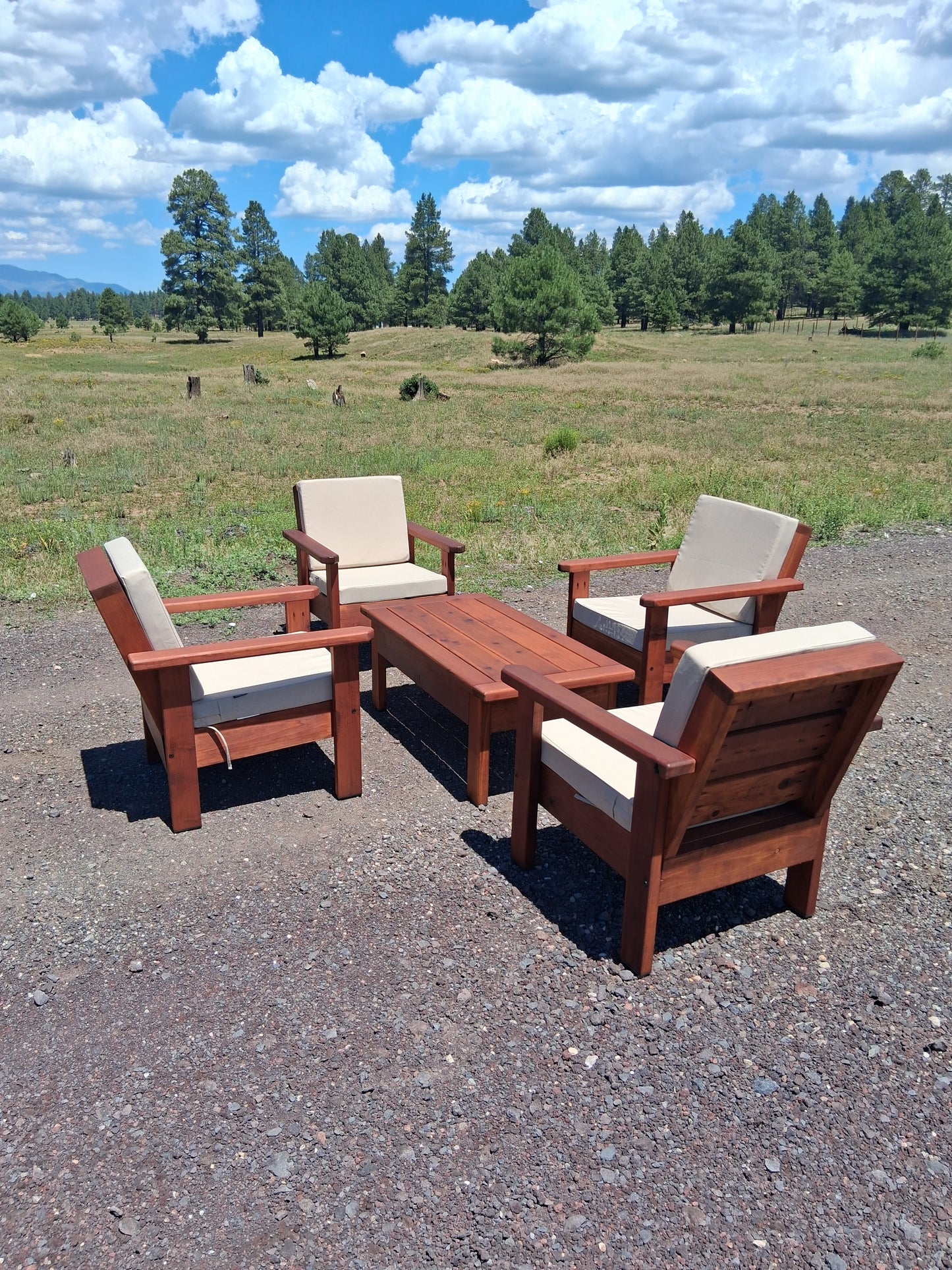 Four Chairs and Coffee Table Set