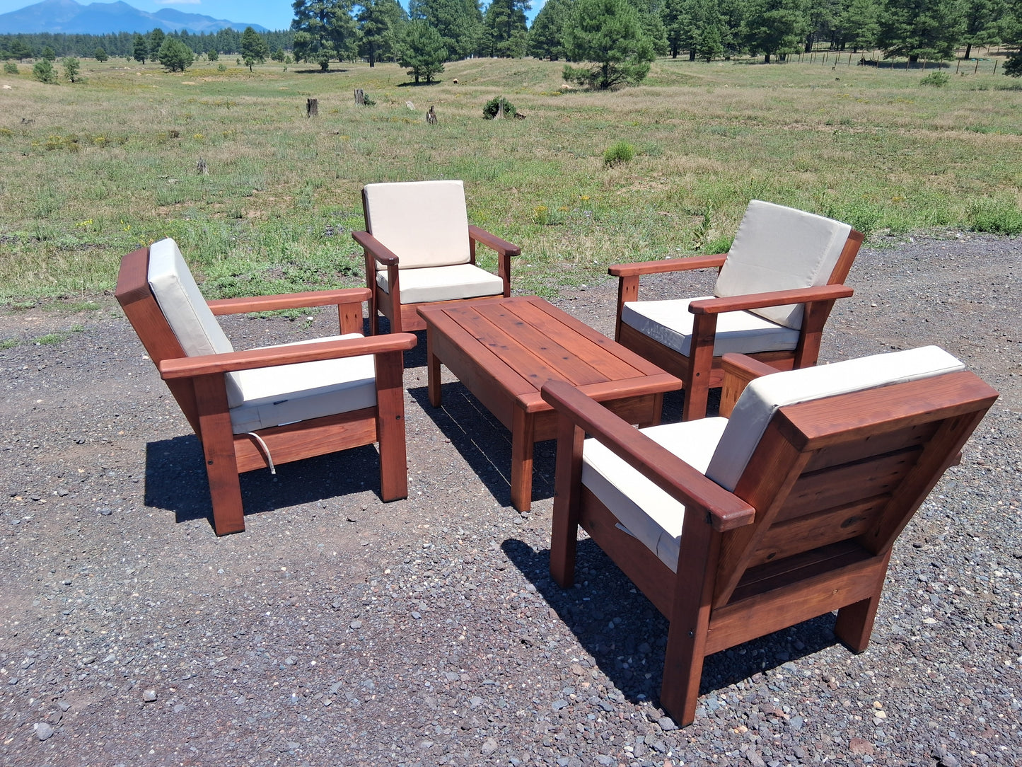 Four Chairs and Coffee Table Set